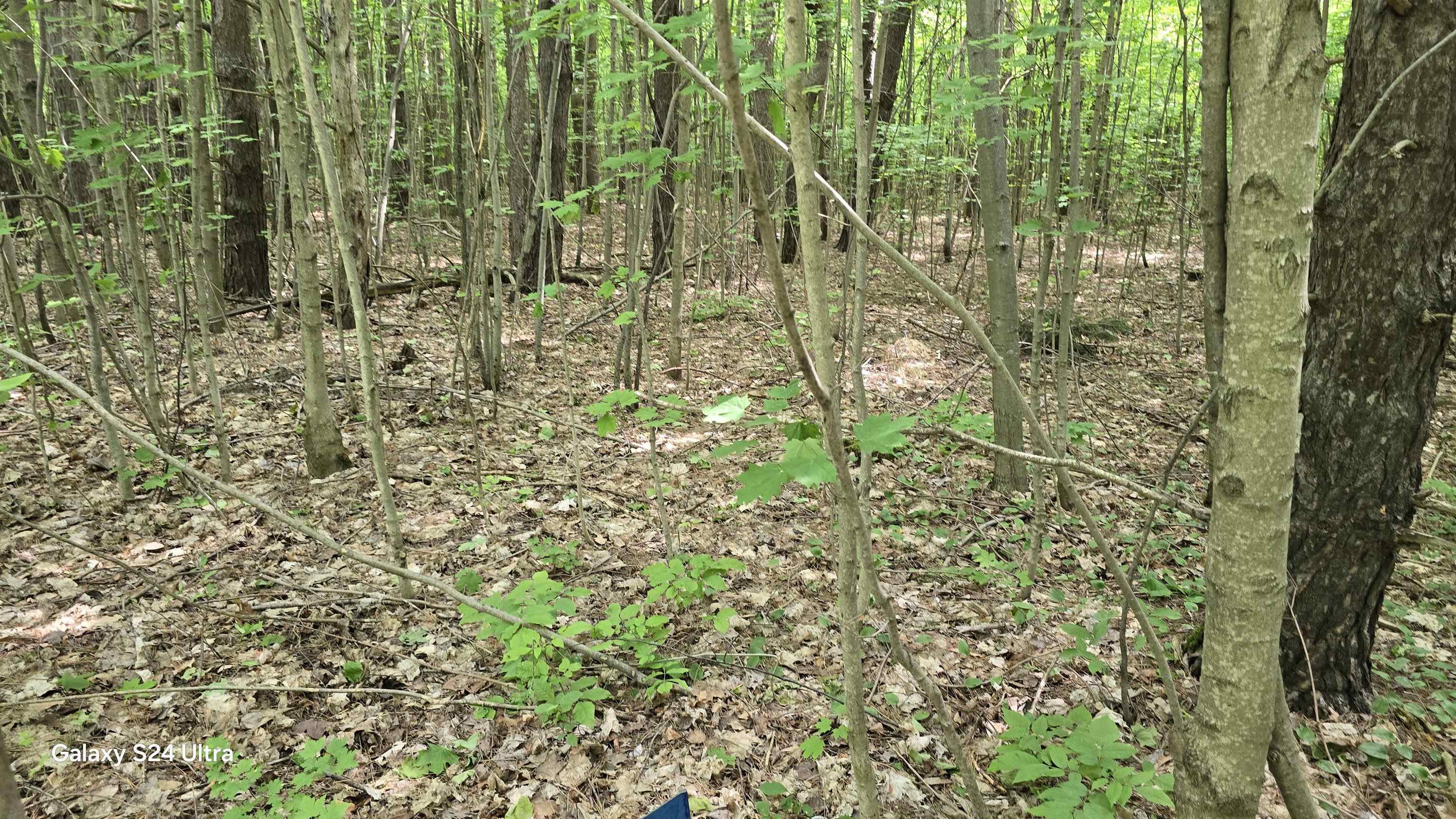 Lot 25 Hagni Road Kalkaska, MI 49646 - Photo 8 of 10 Gallery Image 8