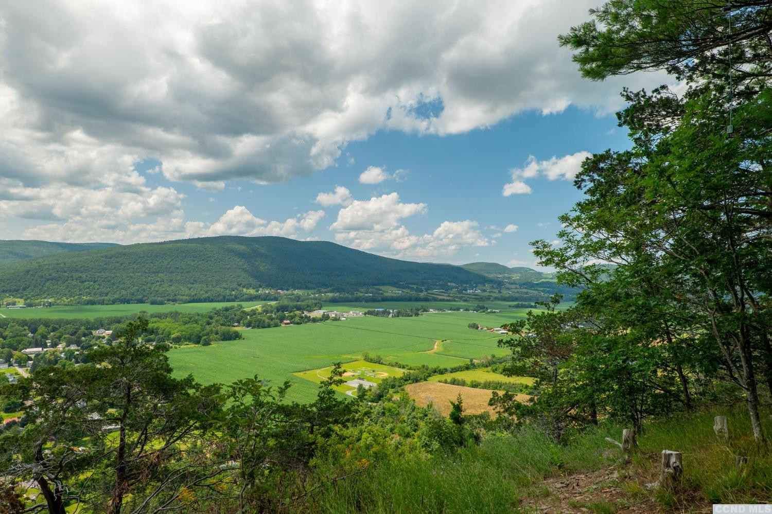 a view of a city with lush green forest