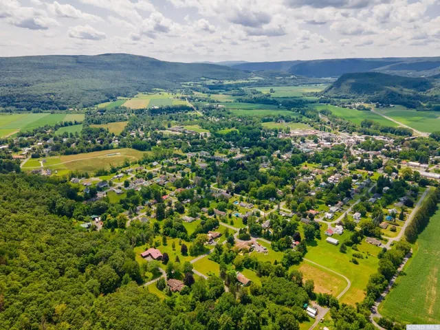 a view of a lush green field with lots of bushes