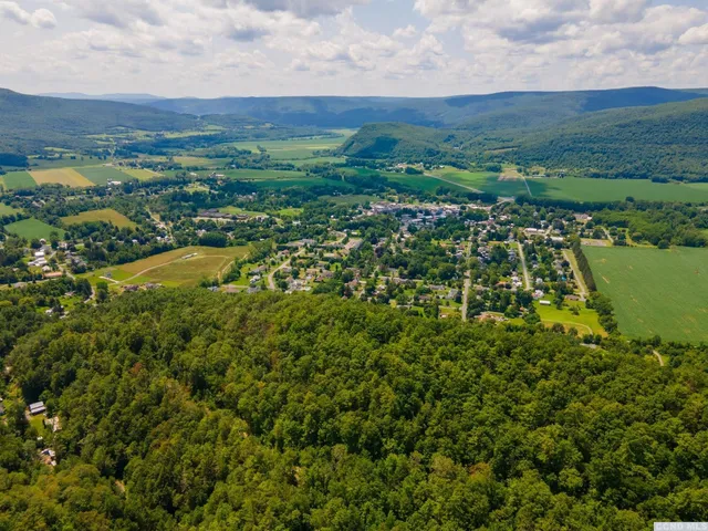 a view of a city with an ocean