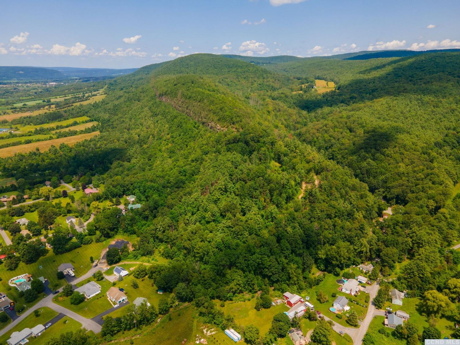 -l16 Mt Path Middleburgh, NY 12122 - Photo 13 of 29 a view of an ocean from a yard