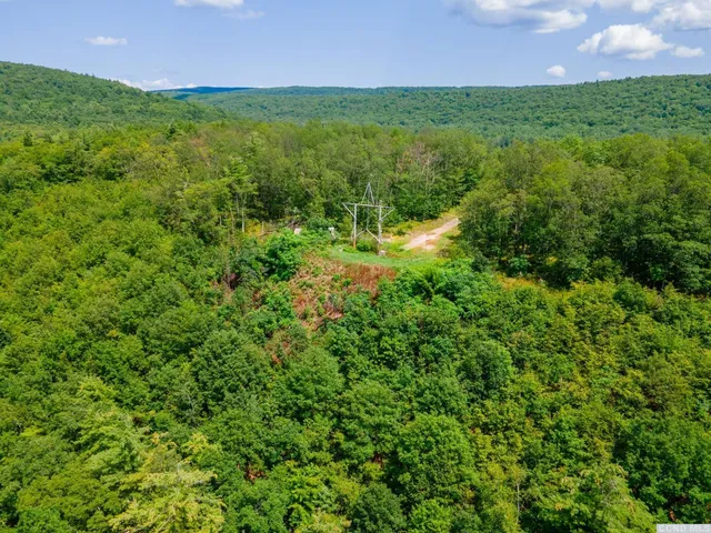 a view of a lush green outdoor space with a lake view and a lake