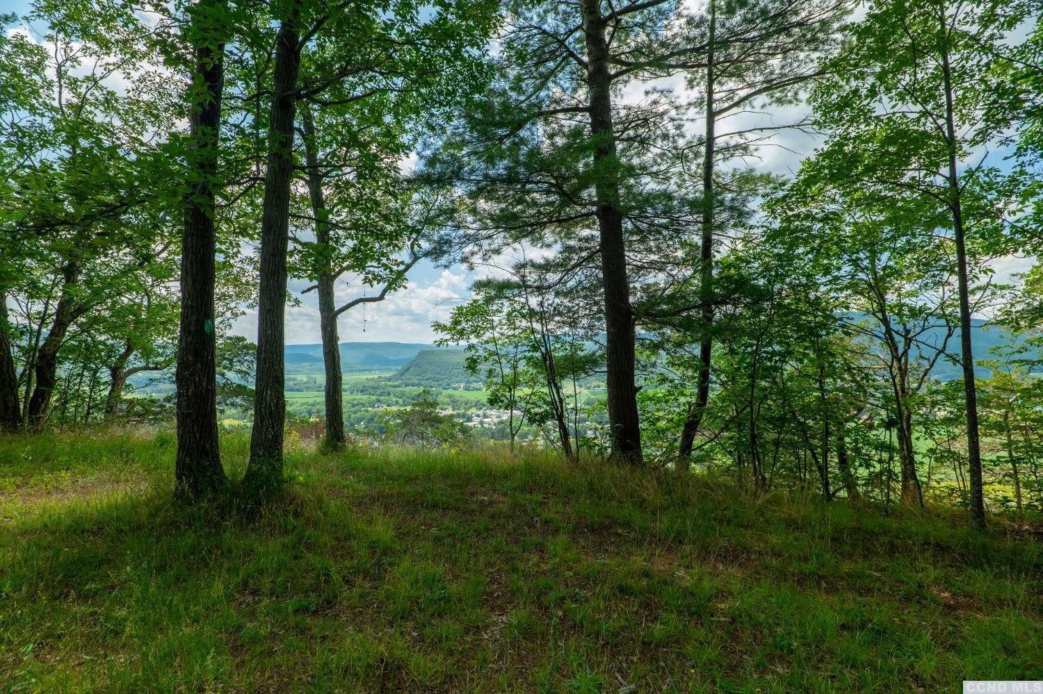 -l16 Mt Path Middleburgh, NY 12122 - Photo 2 of 29 a big yard with lots of green space and trees