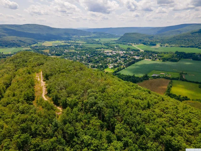 an aerial view of residential houses with outdoor space and trees