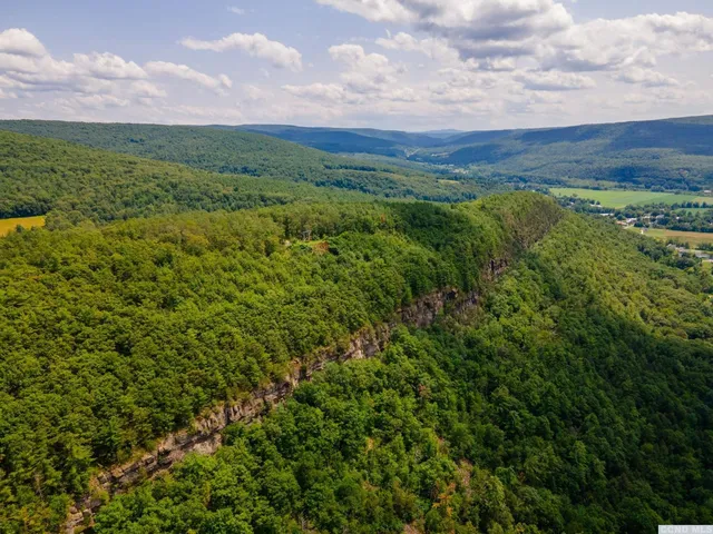 a view of a green field with lots of bushes