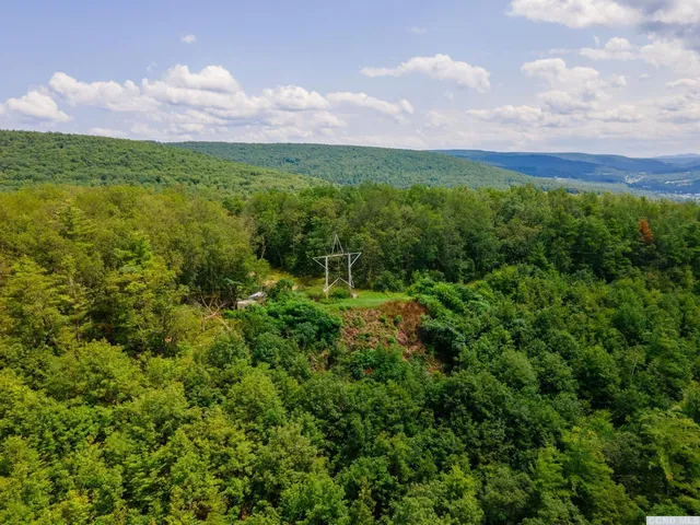 a view of a bunch of trees