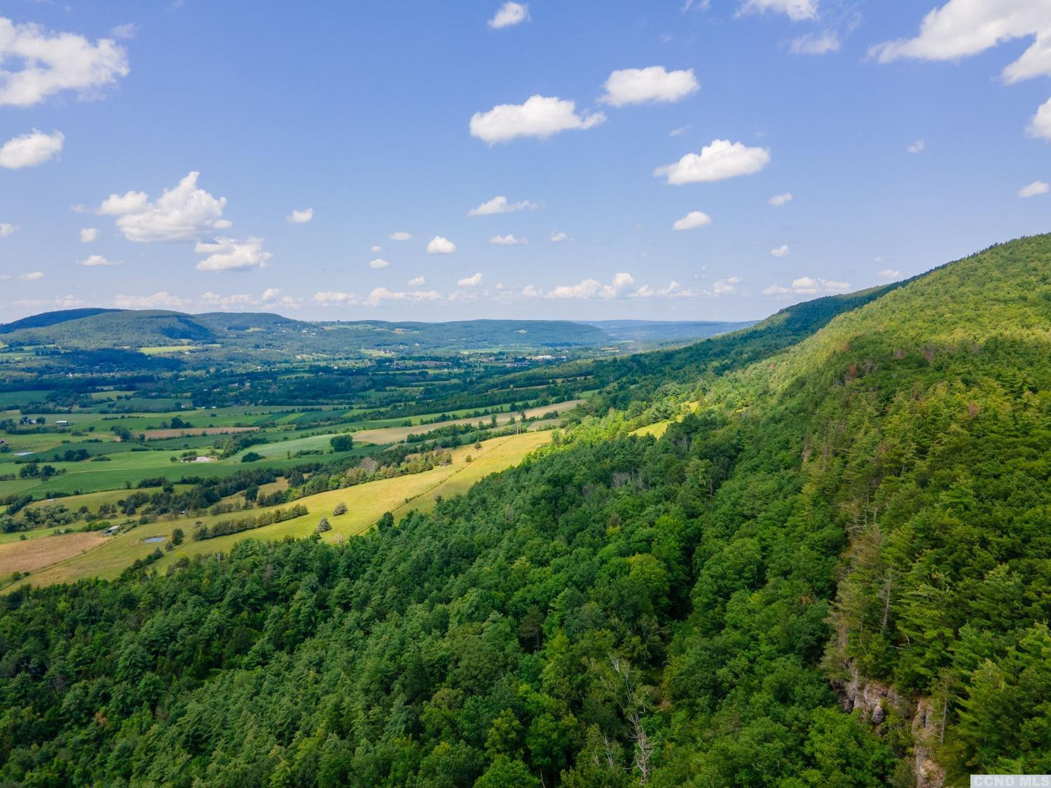 -l16 Mt Path Middleburgh, NY 12122 - Photo 26 of 29