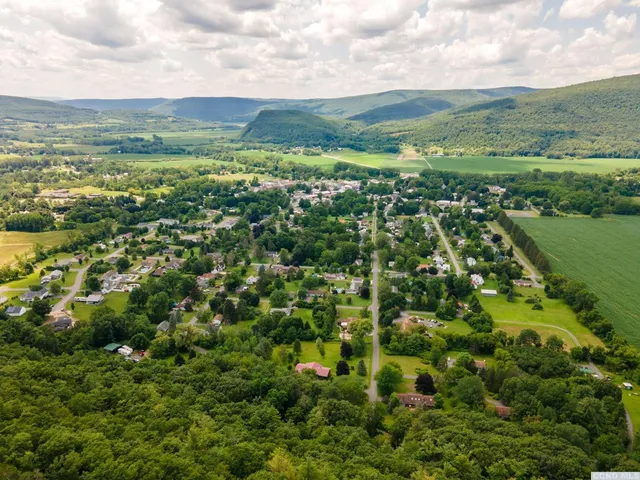 a view of a green field with lots of trees
