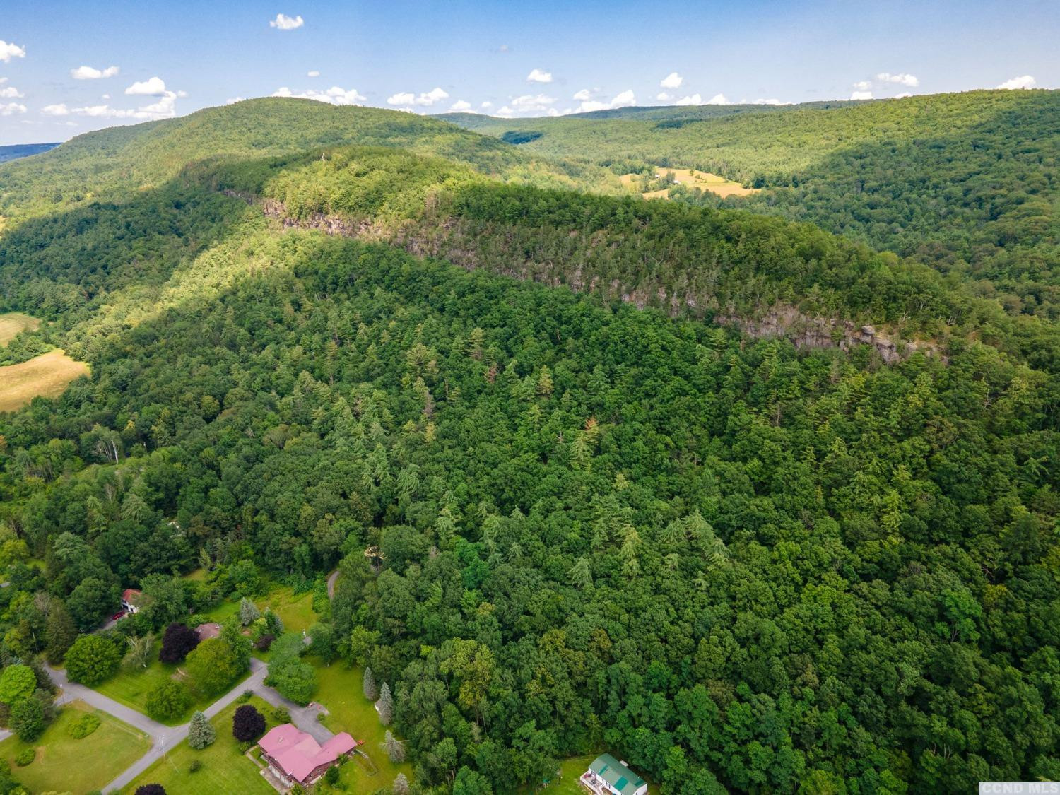 -l16 Mt Path Middleburgh, NY 12122 - Photo 4 of 29 a view of an ocean and a yard