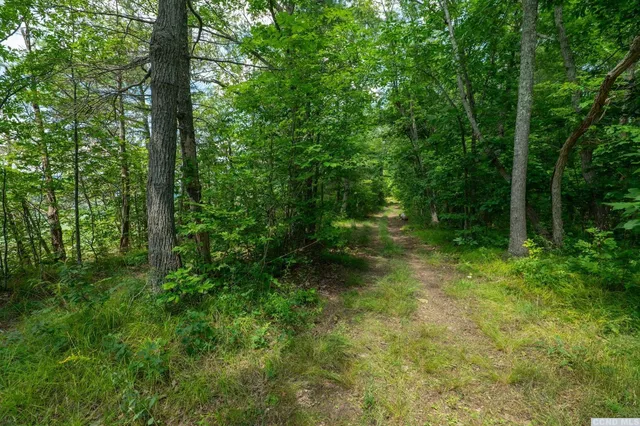 a view of outdoor space and green space
