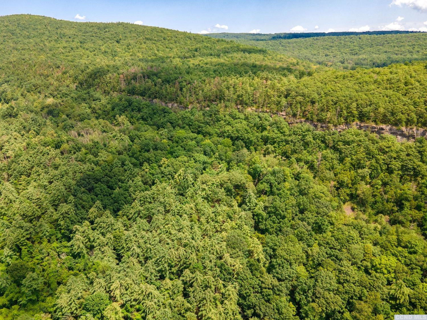 -l16 Mt Path Middleburgh, NY 12122 - Photo 7 of 29 a view of a field with an ocean