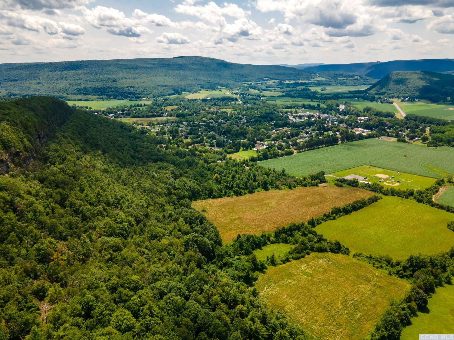 -l16 Mt Path Middleburgh, NY 12122 - Photo 9 of 29 an aerial view of a houses with outdoor space and trees all around