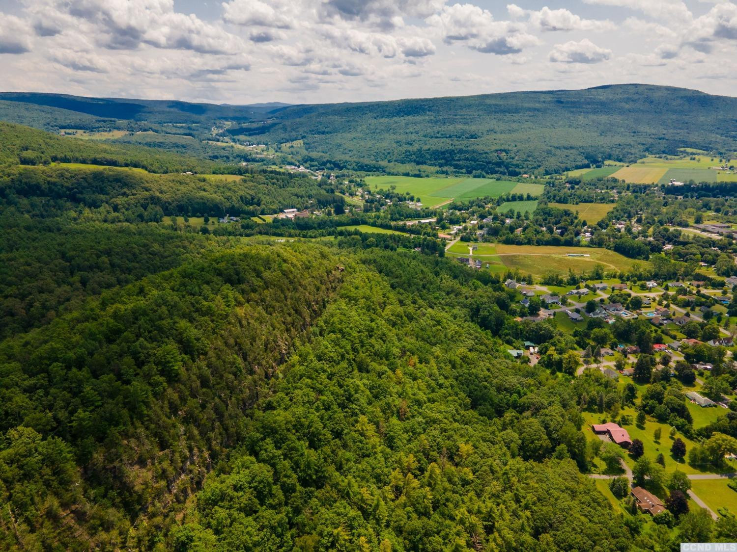 -l16 Mt Path Middleburgh, NY 12122 - Photo 10 of 29 a view of a field with an ocean
