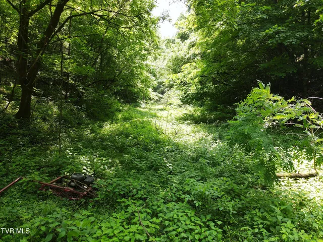 $665,000 | 453 Trentham Hollow Road, Parrottsville, TN 37843