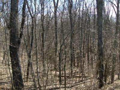 685 Kenney Road Dry Ridge, KY 41035 - Photo 7 of 30