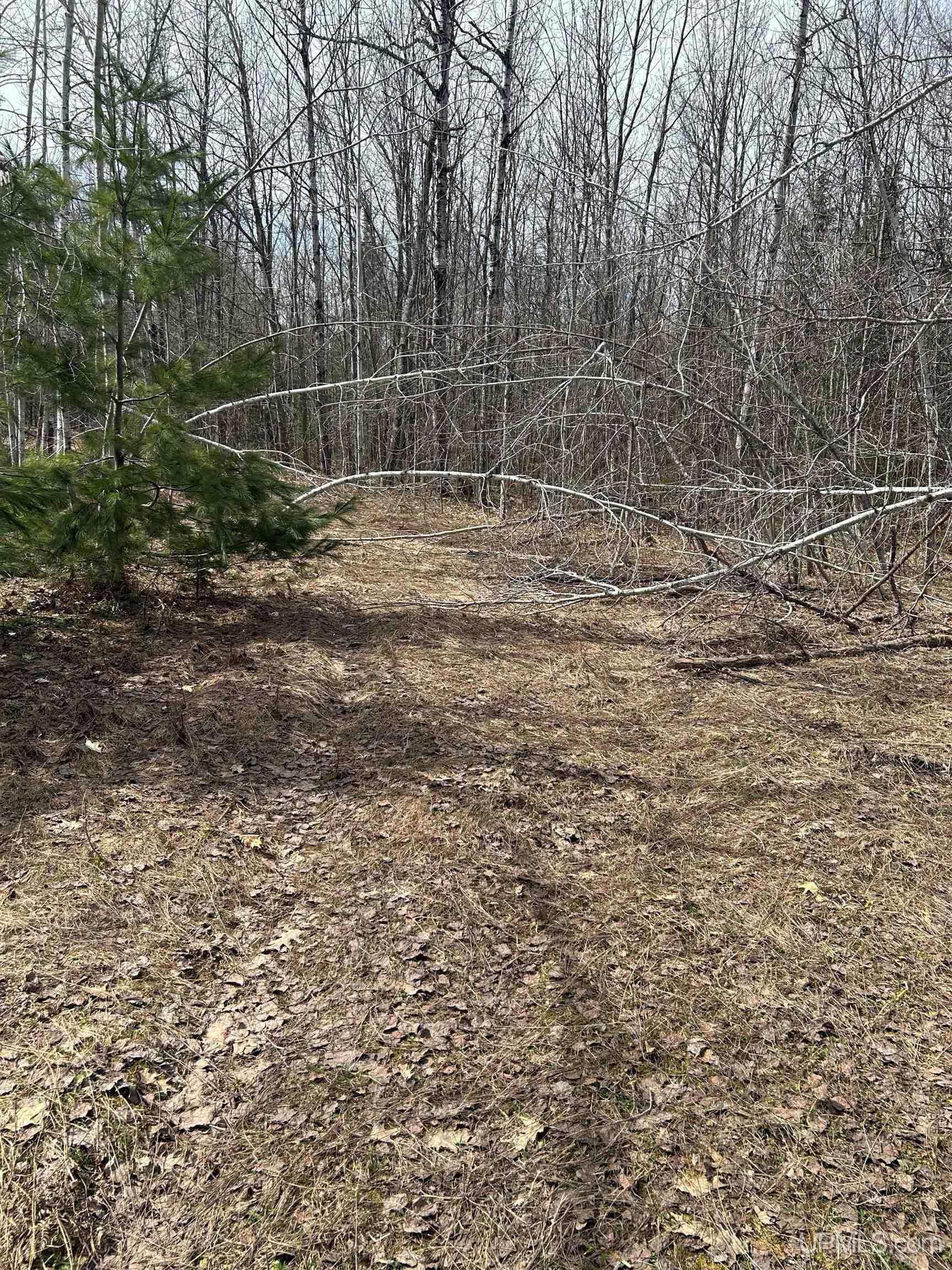 4-10 Firesteel Road Ontonagon, MI 49953 - Photo 20 of 28