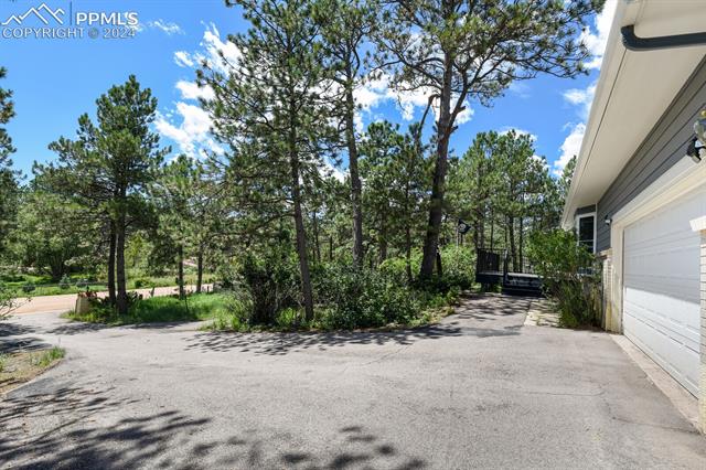 7030 Baker Road Colorado Springs, CO 80908 - Photo 6 of 44