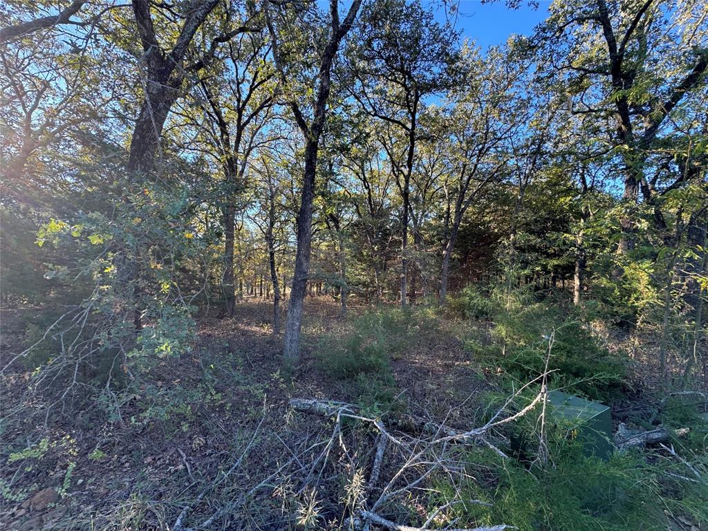 20 Timber Trail Tioga, TX 76271 - Photo 3 of 8