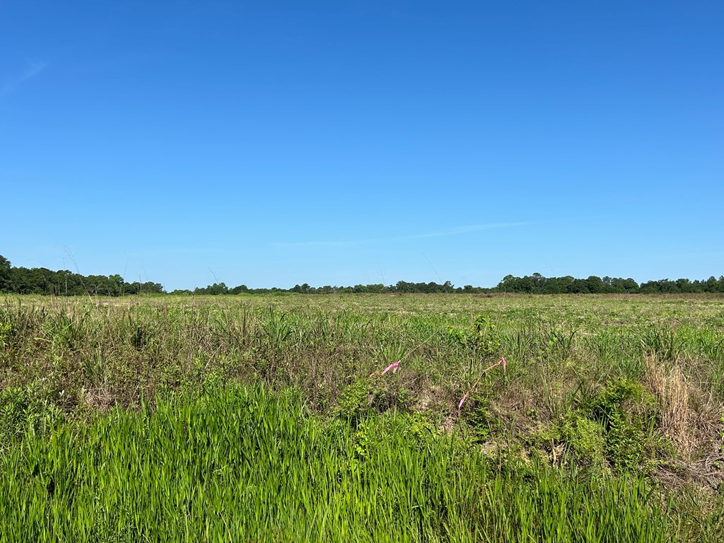 40.522-ac Cecil Varnum Road Dothan, AL 36301 - Photo 28 of 38