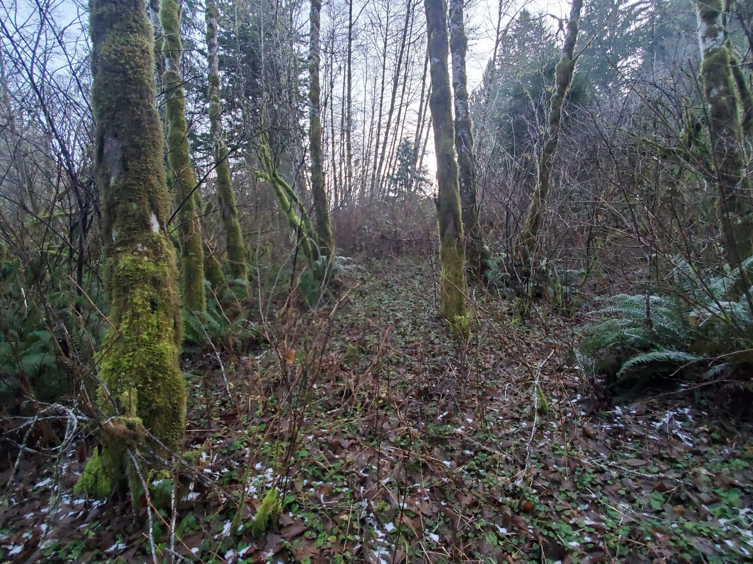 301 North Bear Creek Road Otis, OR 97368 - Photo 5 of 5 was a road