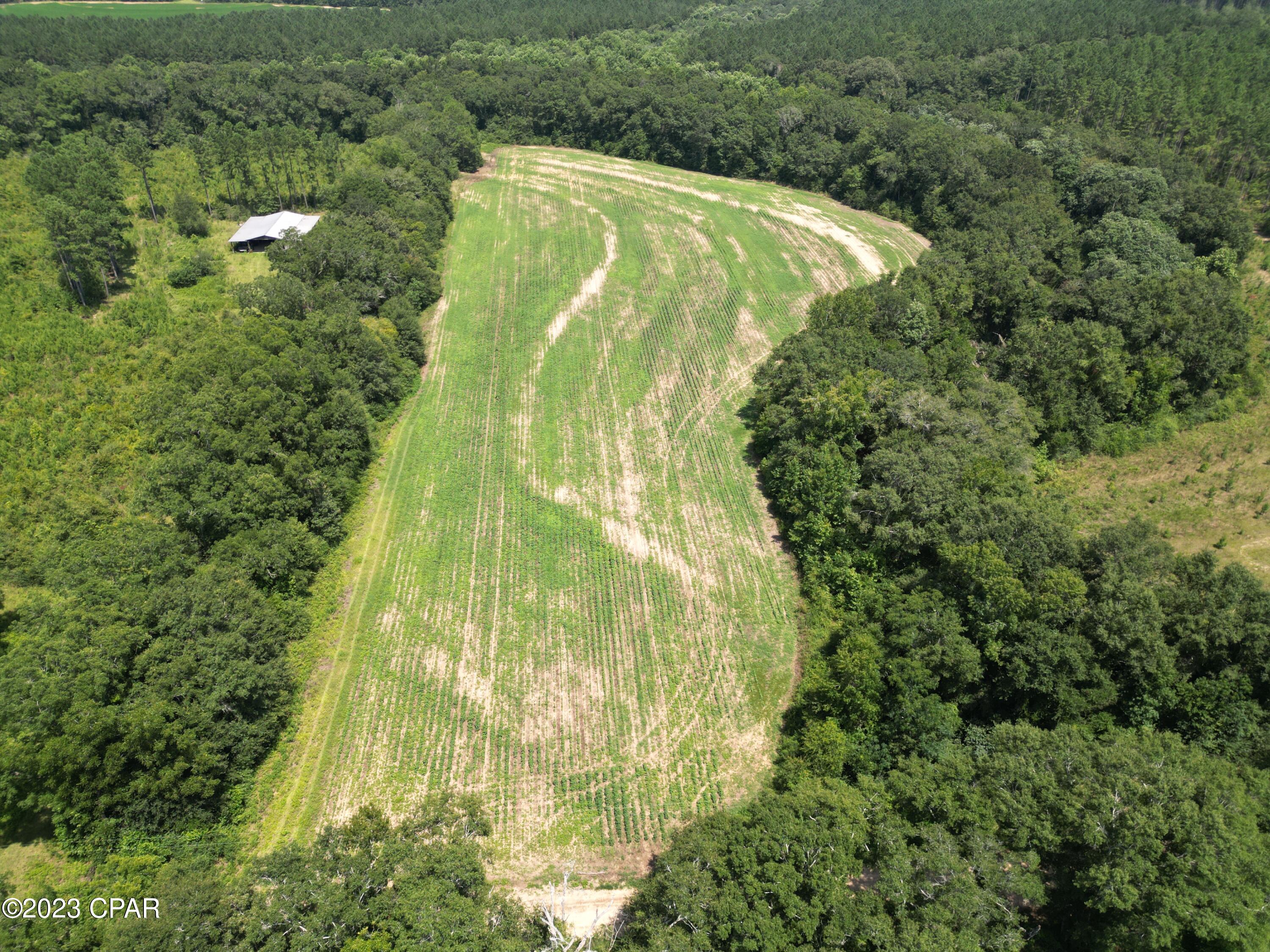 0 McDonald Road Bonifay, FL 32425 - Photo 3 of 14