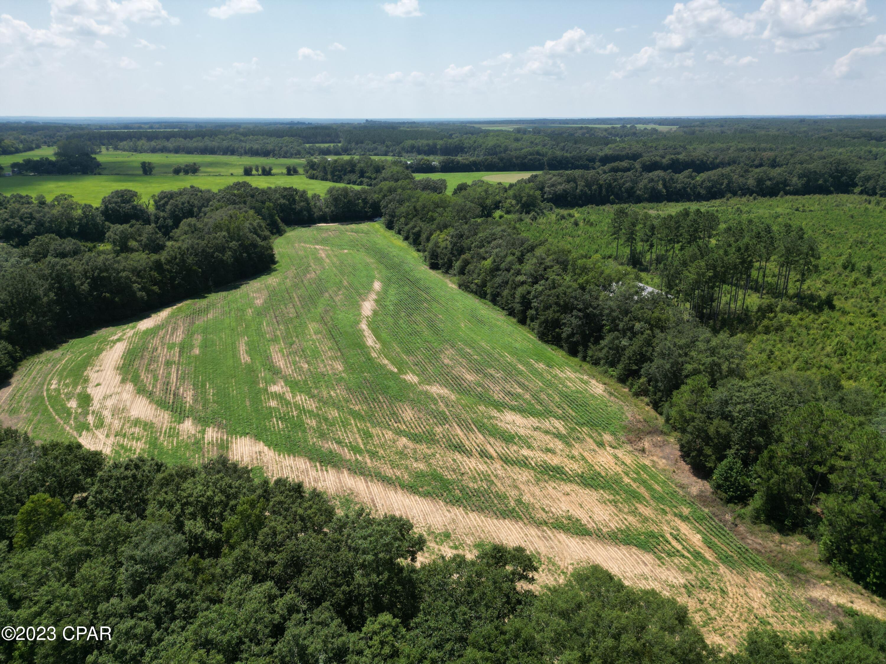0 McDonald Road Bonifay, FL 32425 - Photo 5 of 14