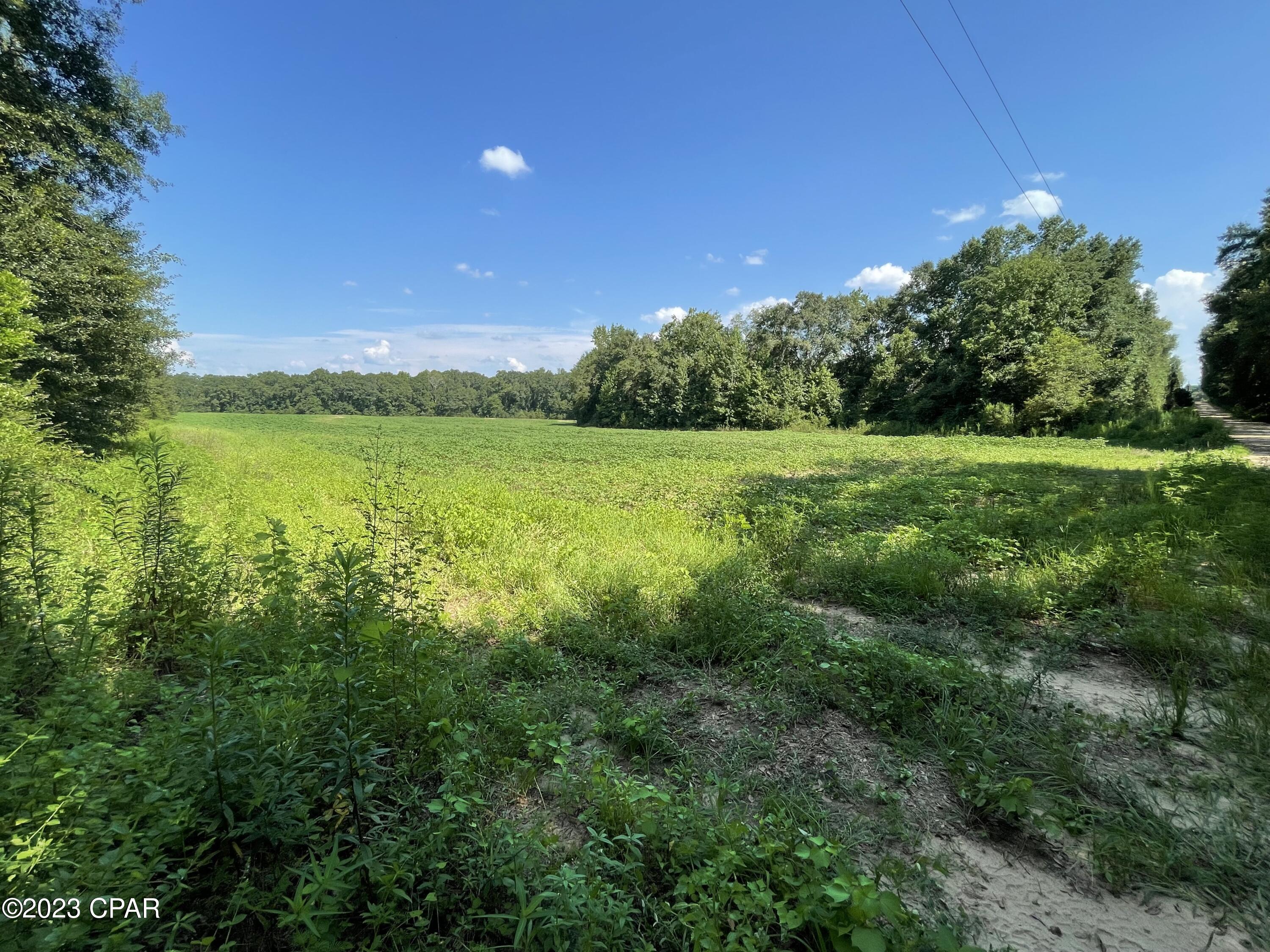 0 McDonald Road Bonifay, FL 32425 - Photo 8 of 14