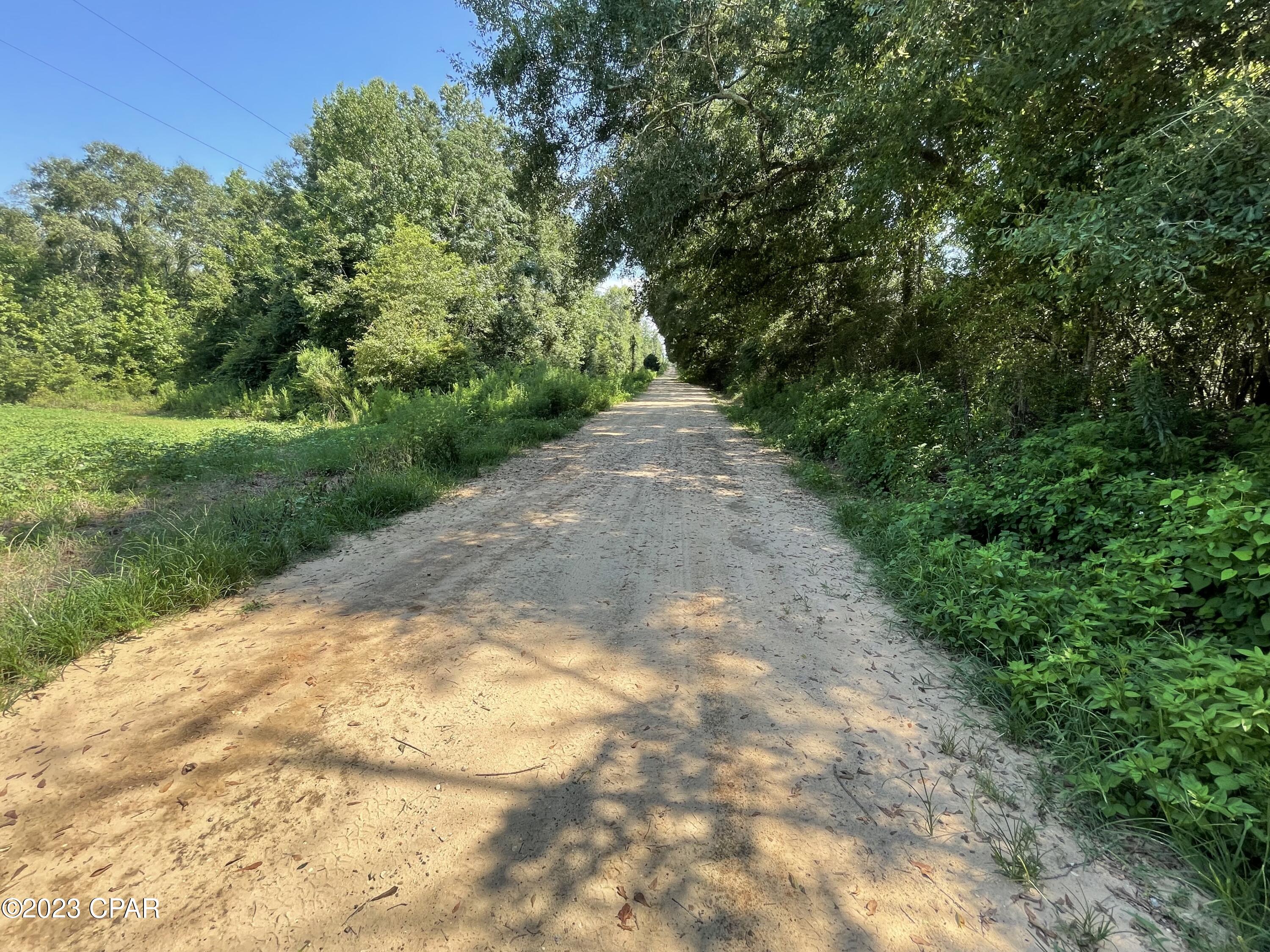 0 McDonald Road Bonifay, FL 32425 - Photo 9 of 14
