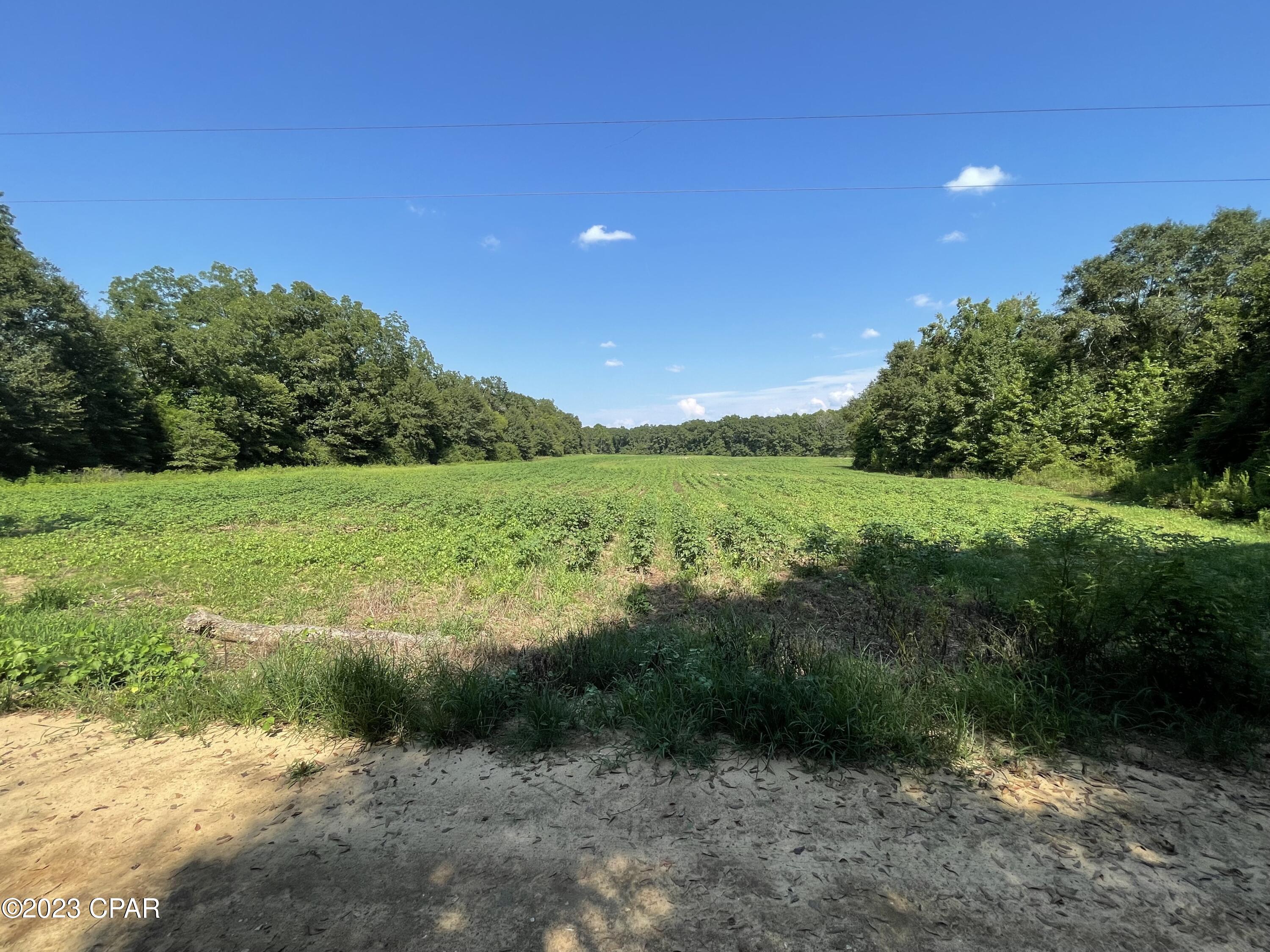 0 McDonald Road Bonifay, FL 32425 - Photo 10 of 14