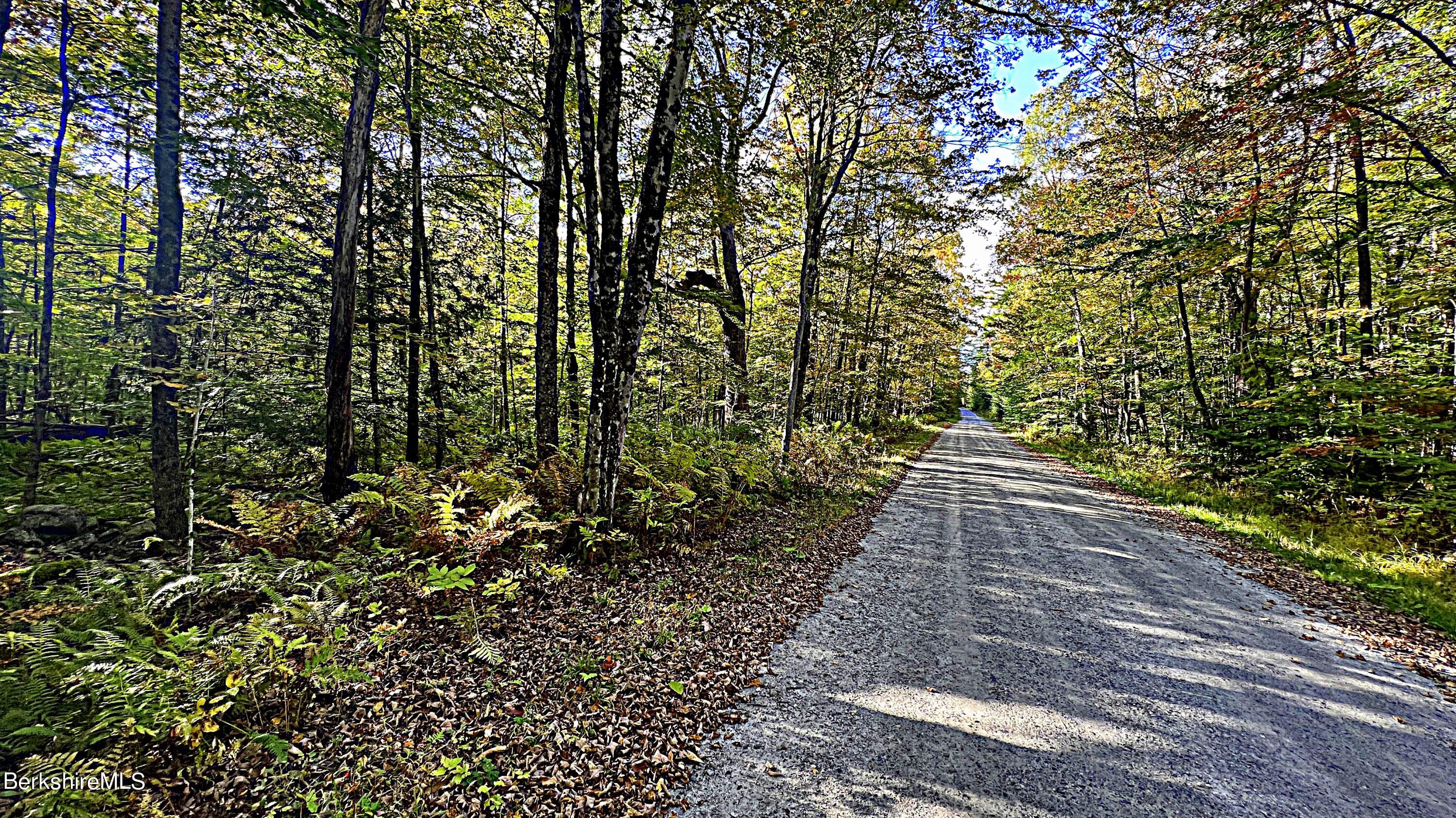 a view of outdoor space and trees