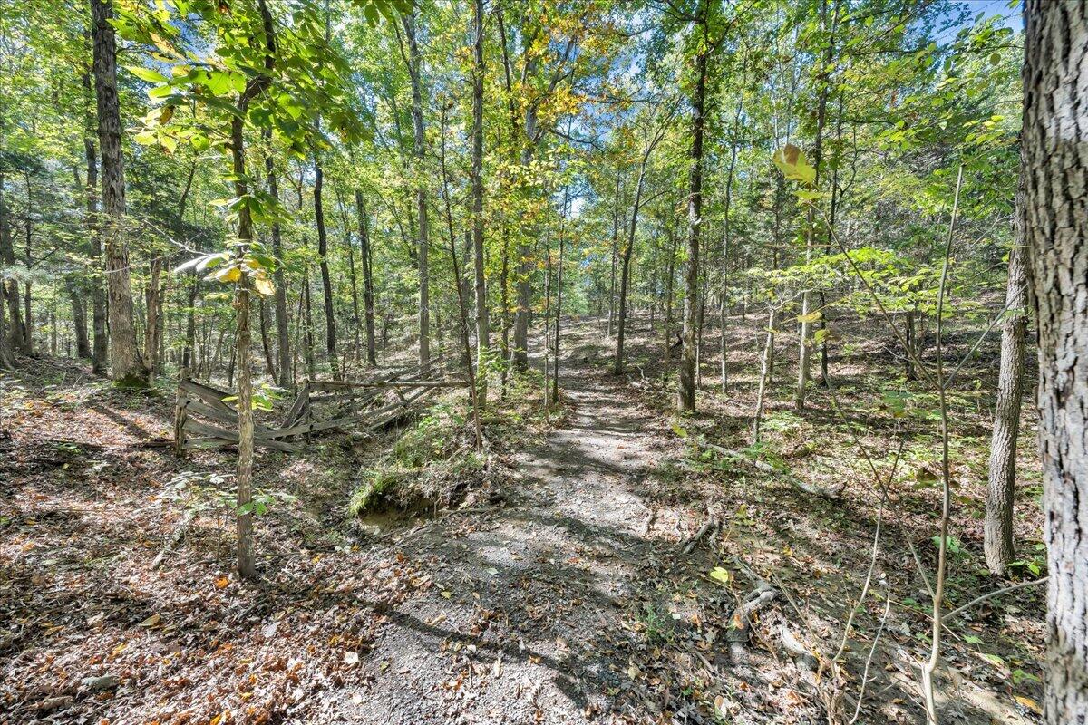 2929 West Wind Road Fincastle, VA 24090 - Photo 70 of 75 073