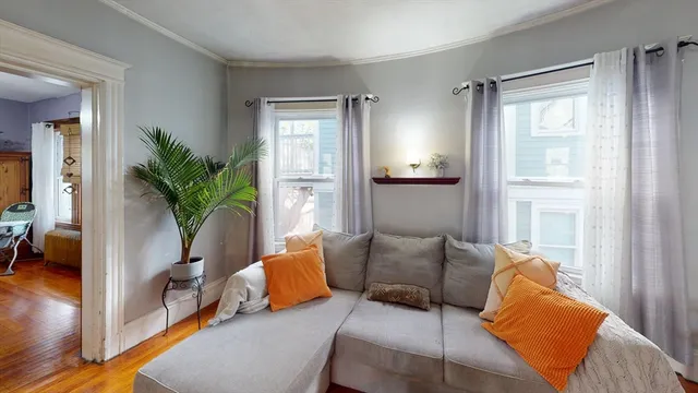 a living room with furniture plant and a window