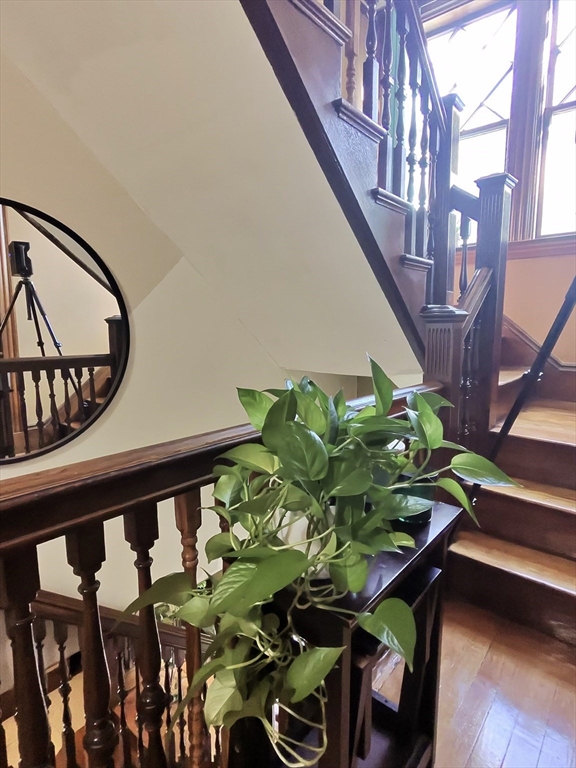 19 Mt Ida Road Boston, MA 02122 - Photo 34 of 36