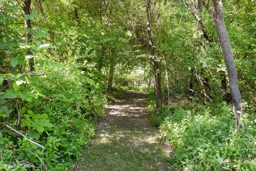 14391 Prairie Road Three Oaks, MI 49128 - Photo 74 of 85 Walking Path