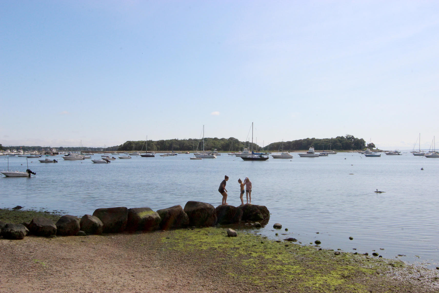 8 Crump Road Bourne, MA 02532 - Photo 54 of 59 IMG_1182