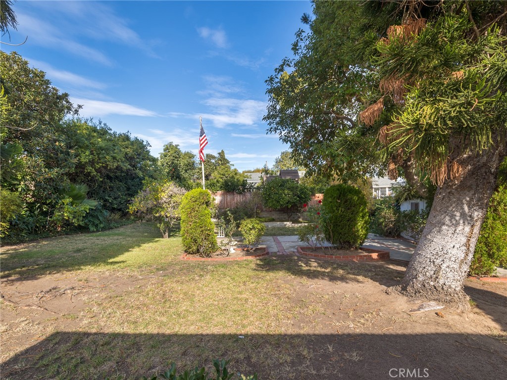 61 Ranchview Road Rolling Hills Estates, CA 90274 - Photo 31 of 44 a view of a yard with plants and large trees