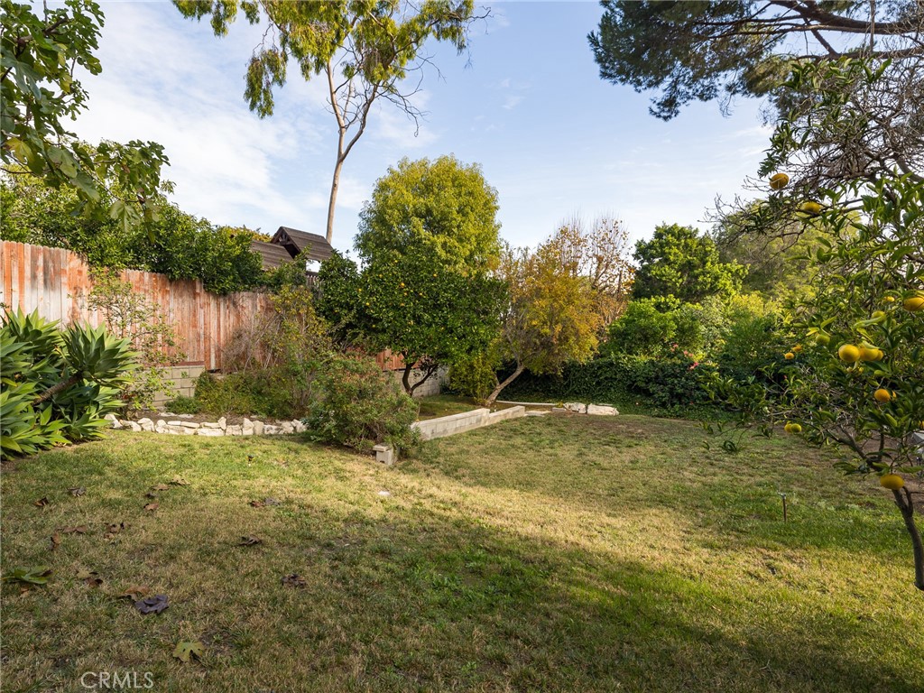 61 Ranchview Road Rolling Hills Estates, CA 90274 - Photo 34 of 44 a view of a yard with a tree