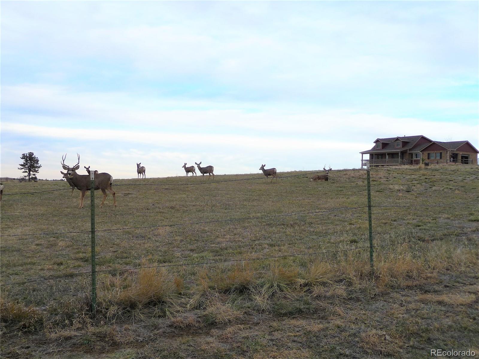 9202 Apache Road Parker, CO 80138 - Photo 33 of 35 Gallery Image 33