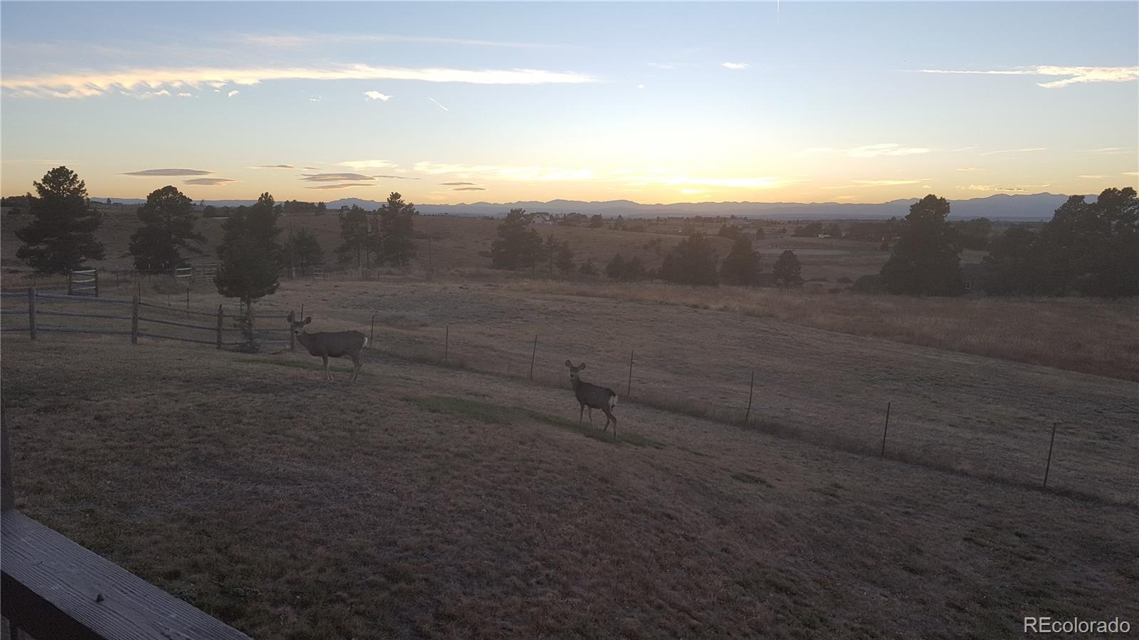 9202 Apache Road Parker, CO 80138 - Photo 34 of 35 Gallery Image 34