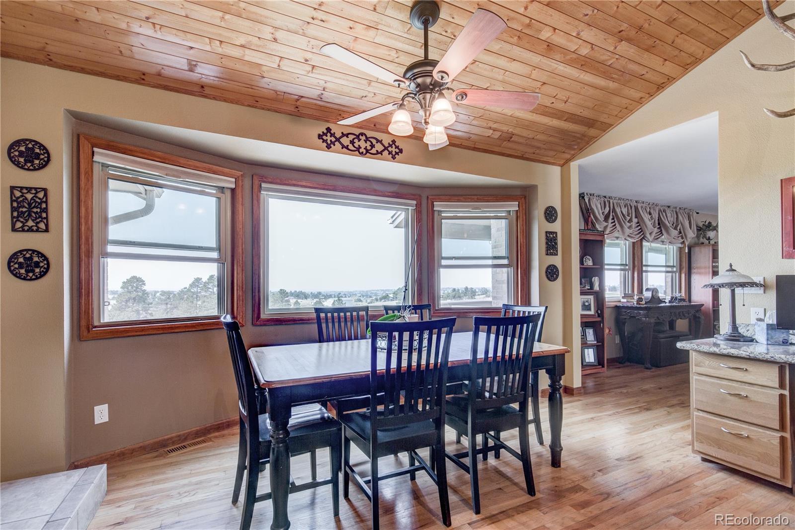 9202 Apache Road Parker, CO 80138 - Photo 8 of 35 Gallery Image 8