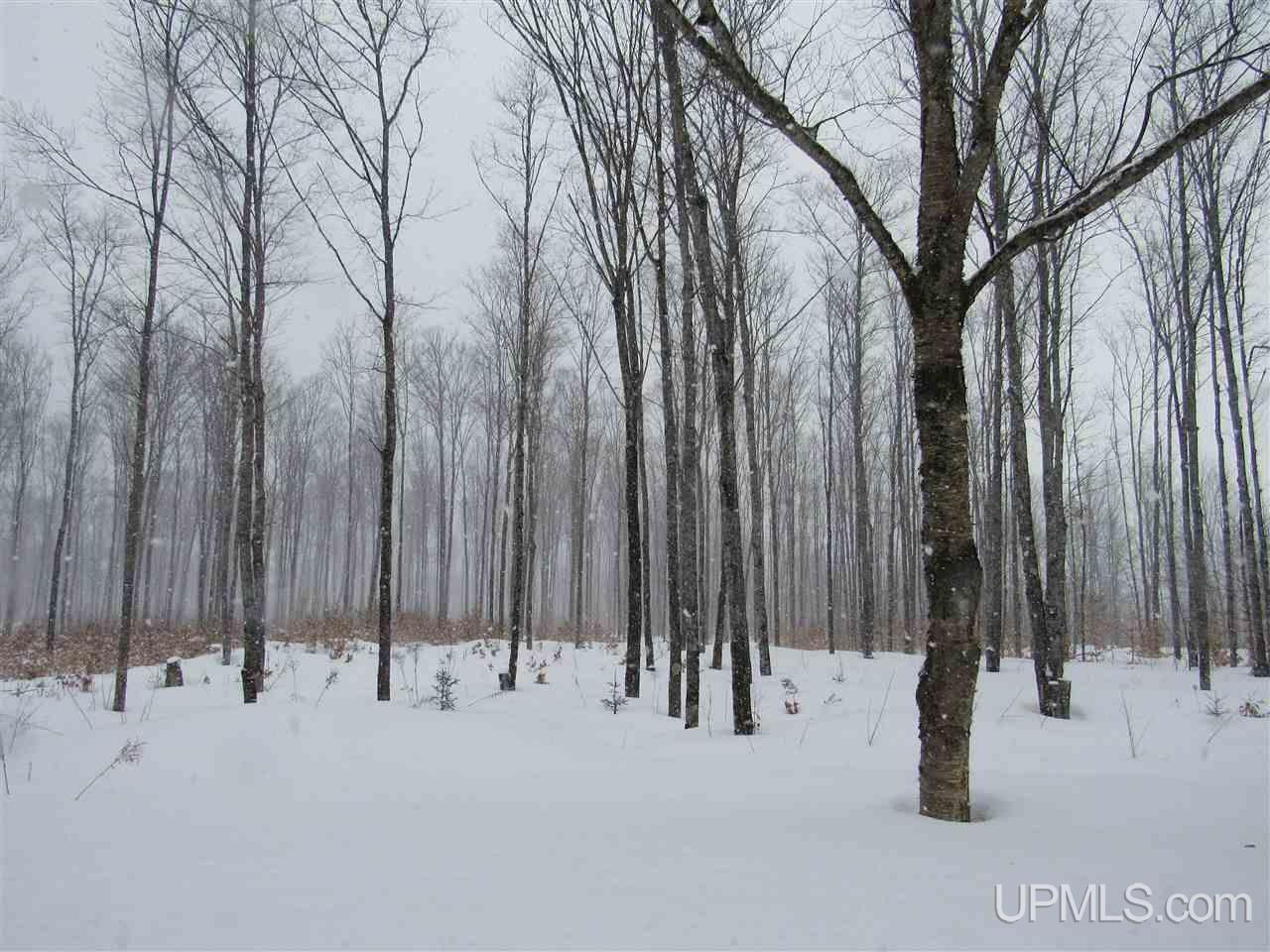 11998 Roy Wright Road Shingleton, MI 49884 - Photo 20 of 36
