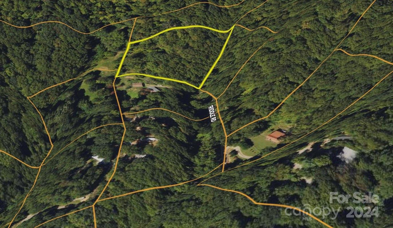325 Riddle Road Swannanoa, NC 28778 - Photo 5 of 5 Gallery Image 5