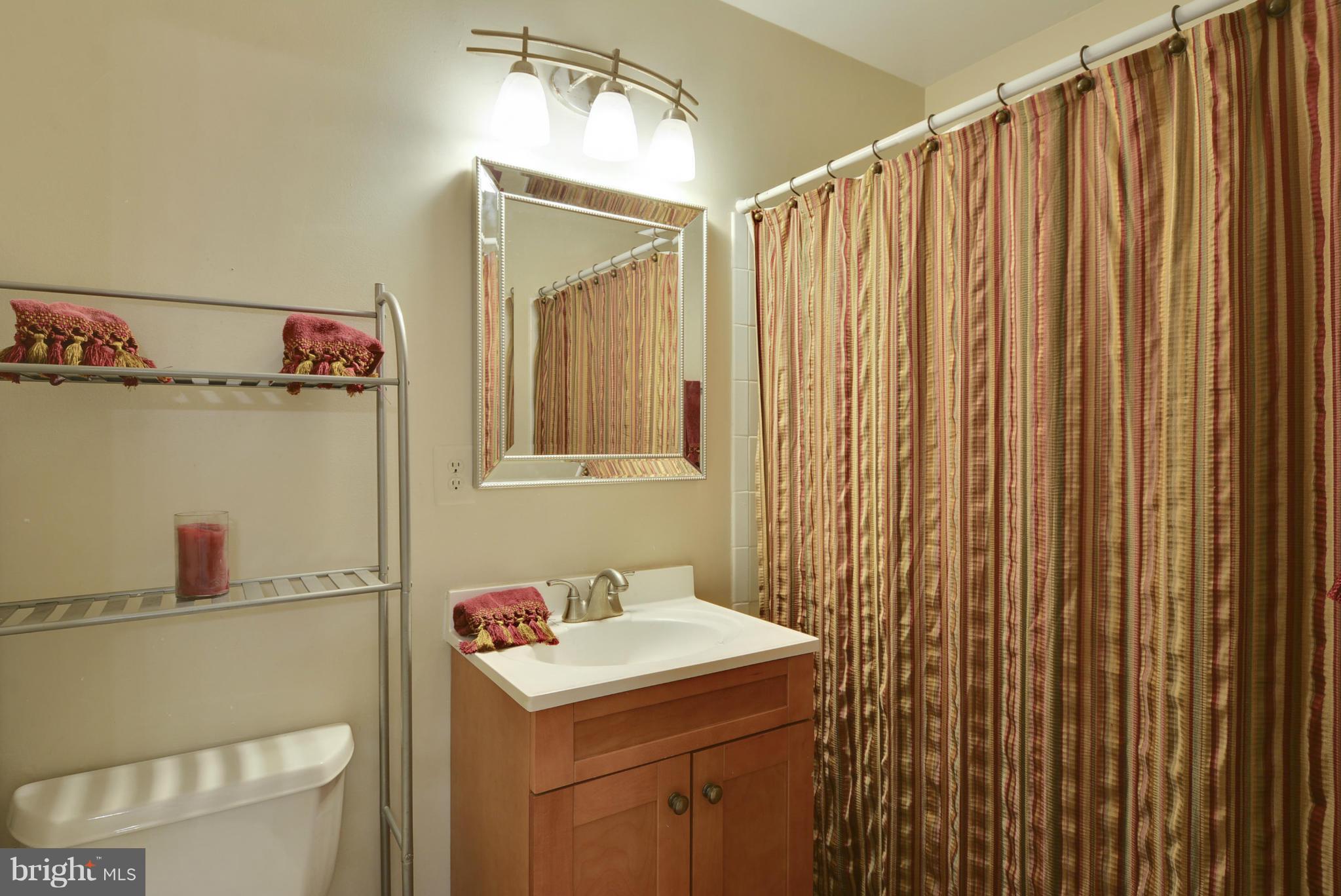 2228 White Cornus Lane Reston, VA 20191 - Photo 12 of 30 Bath
