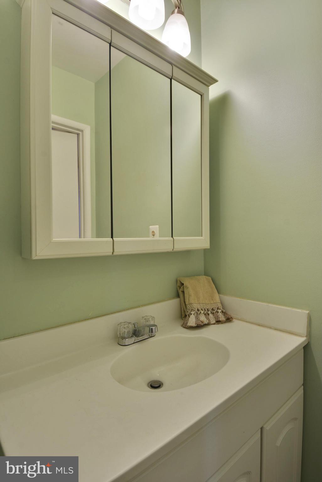 2228 White Cornus Lane Reston, VA 20191 - Photo 10 of 30 Bath