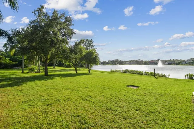 $999,999 | 1641 Altamont Lane, Odessa, FL 33556