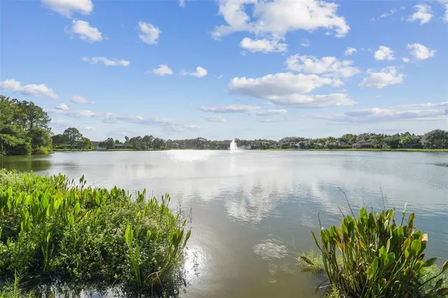 $999,999 | 1641 Altamont Lane, Odessa, FL 33556