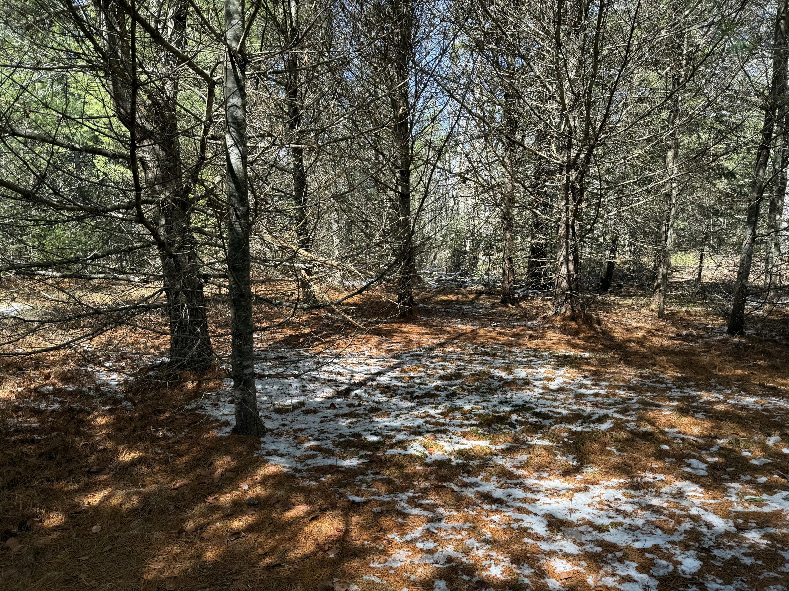 0 Rt 176 East Blue Hill Road Blue Hill, ME 04614 - Photo 4 of 12 tempImageVNfsF3