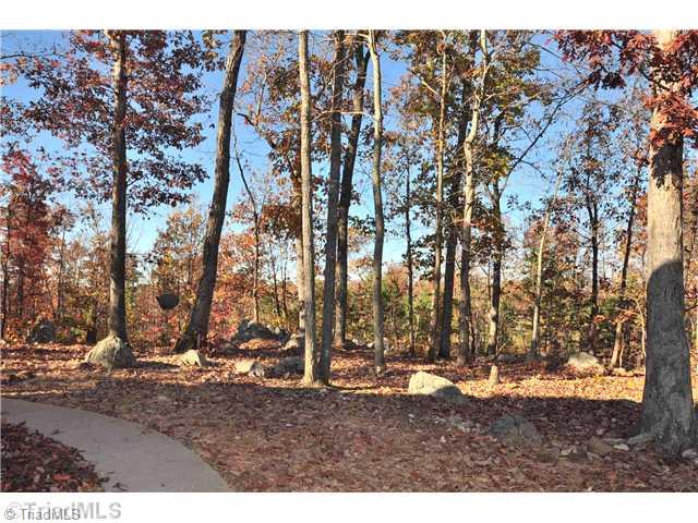2561 Peppertree Ridge Road Randleman, NC 27317 - Photo 16 of 16 Exterior Back. Low maintenance back yard with natural rock formations.