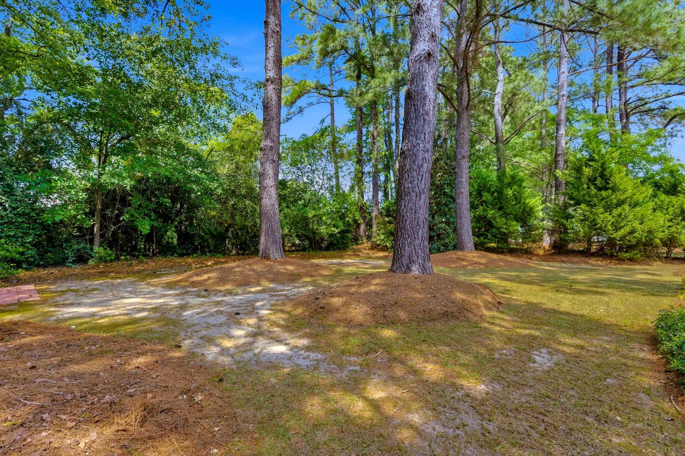 3068 Sweetpine Lane Conway, SC 29527 - Photo 34 of 37