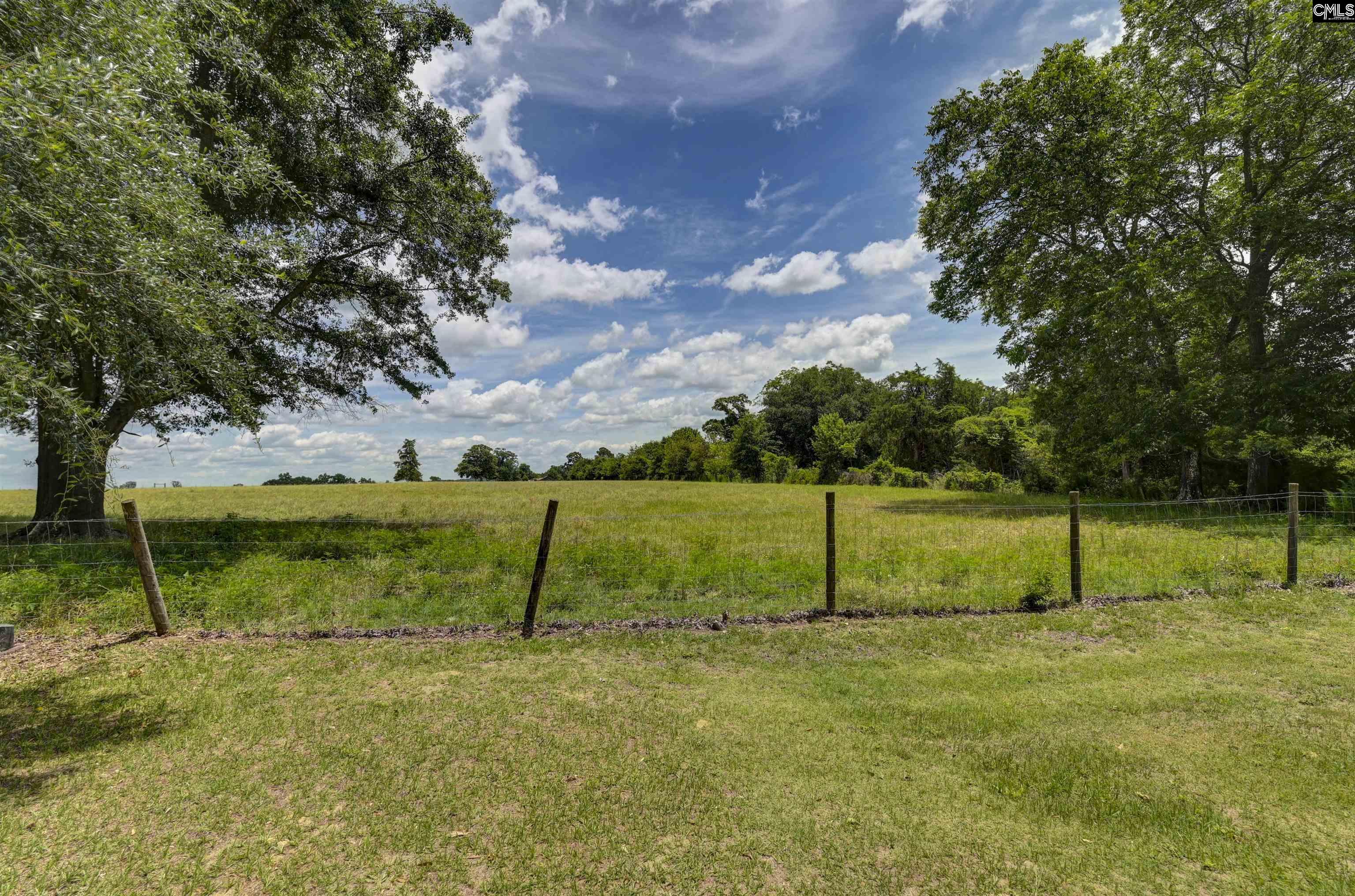 204 State Rd S-32-955 Leesville, SC 29070 - Photo 51 of 65
